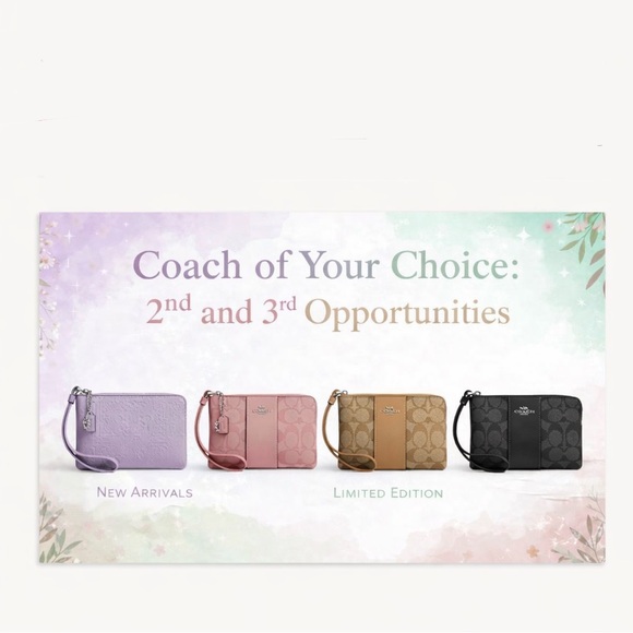 BAGS AND ๐ BLING game Opportunity ** see details below - Picture 3 of 15